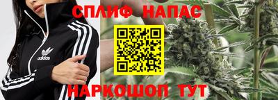 стафф Бузулук